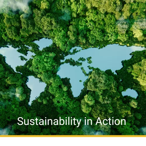 Safemark Recognized for Sustainability Achievements by EcoVadis